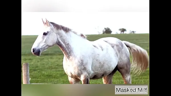 Bekijk Horny Milf takes giant horse cock dildo compilation | Masked Milf warme video's